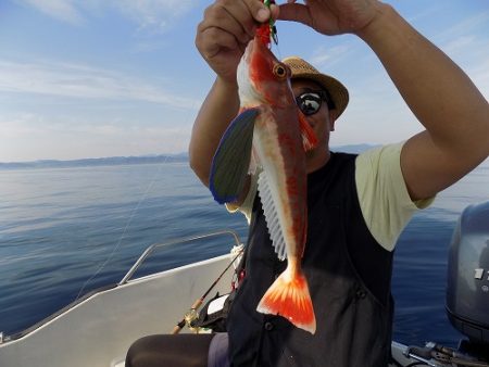 フィッシングボート空風（そらかぜ） 釣果
