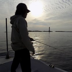 フィッシングボート空風（そらかぜ） 釣果