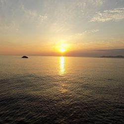 フィッシングボート空風（そらかぜ） 釣果