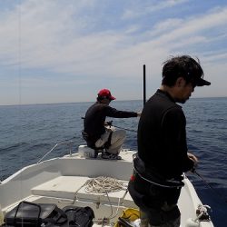 フィッシングボート空風(そらかぜ) 釣果