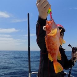フィッシングボート空風(そらかぜ) 釣果