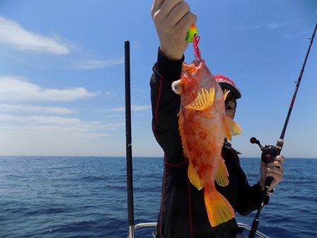 フィッシングボート空風(そらかぜ) 釣果