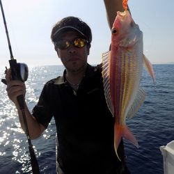 フィッシングボート空風(そらかぜ) 釣果