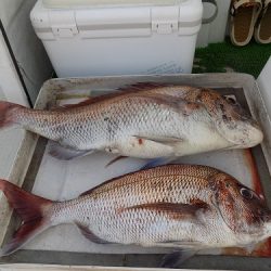 フィッシングボート空風(そらかぜ) 釣果