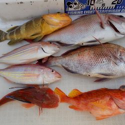 フィッシングボート空風(そらかぜ) 釣果