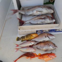 フィッシングボート空風(そらかぜ) 釣果