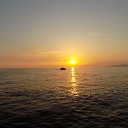 フィッシングボート空風(そらかぜ) 釣果