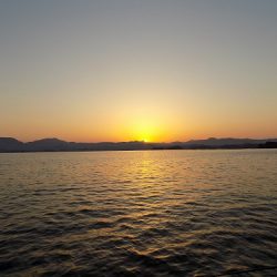 フィッシングボート空風(そらかぜ) 釣果