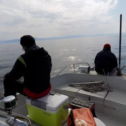 フィッシングボート空風(そらかぜ) 釣果