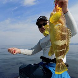 フィッシングボート空風(そらかぜ) 釣果