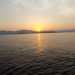 フィッシングボート空風(そらかぜ) 釣果