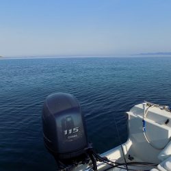 フィッシングボート空風(そらかぜ) 釣果