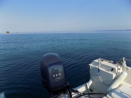 フィッシングボート空風(そらかぜ) 釣果