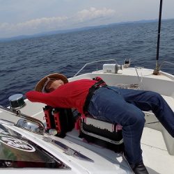 フィッシングボート空風(そらかぜ) 釣果