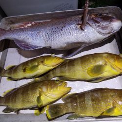 フィッシングボート空風(そらかぜ) 釣果