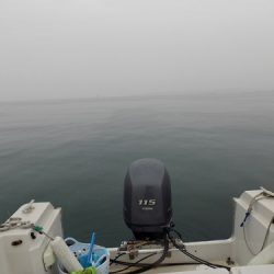 フィッシングボート空風(そらかぜ) 釣果