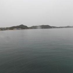 フィッシングボート空風(そらかぜ) 釣果