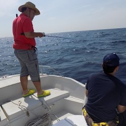 フィッシングボート空風(そらかぜ) 釣果