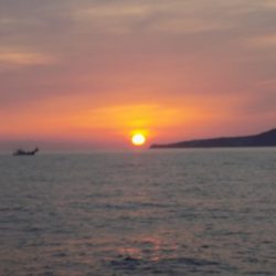 フィッシングボート空風(そらかぜ) 釣果