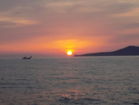 フィッシングボート空風(そらかぜ) 釣果