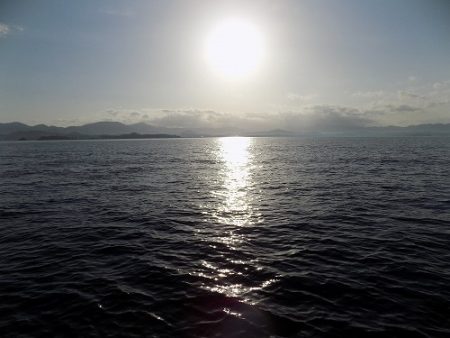 フィッシングボート空風(そらかぜ) 釣果