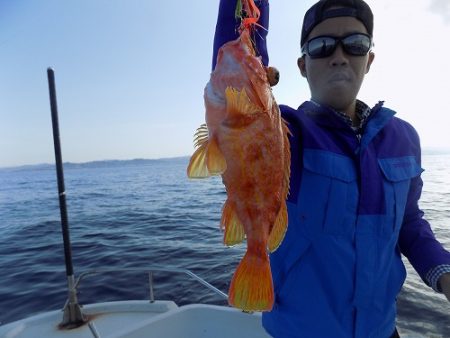 フィッシングボート空風(そらかぜ) 釣果