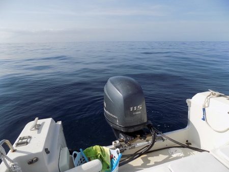 フィッシングボート空風(そらかぜ) 釣果