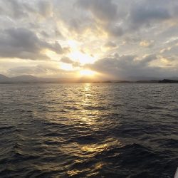 フィッシングボート空風(そらかぜ) 釣果