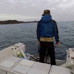 フィッシングボート空風(そらかぜ) 釣果