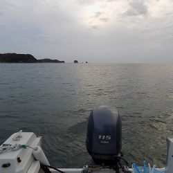 フィッシングボート空風(そらかぜ) 釣果