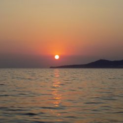 フィッシングボート空風(そらかぜ) 釣果