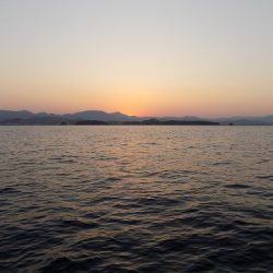 フィッシングボート空風(そらかぜ) 釣果