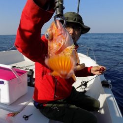フィッシングボート空風(そらかぜ) 釣果