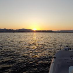 フィッシングボート空風(そらかぜ) 釣果