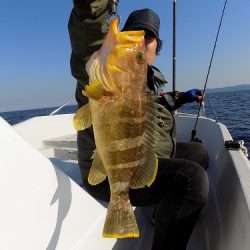フィッシングボート空風(そらかぜ) 釣果