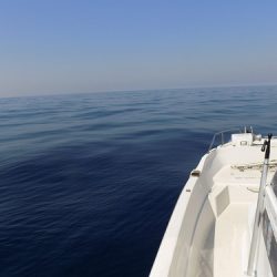 フィッシングボート空風(そらかぜ) 釣果