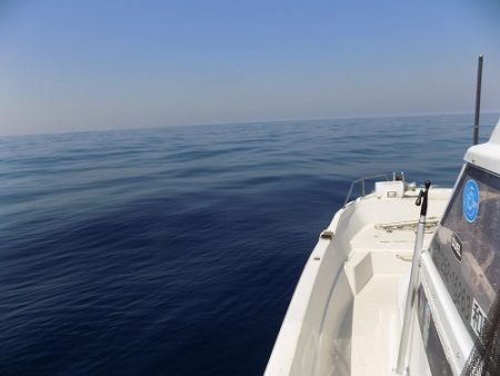 フィッシングボート空風(そらかぜ) 釣果