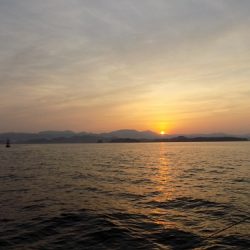 フィッシングボート空風(そらかぜ) 釣果