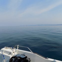 フィッシングボート空風(そらかぜ) 釣果