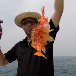 フィッシングボート空風(そらかぜ) 釣果