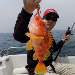 フィッシングボート空風(そらかぜ) 釣果