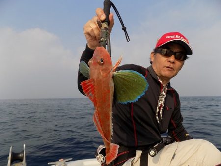 フィッシングボート空風(そらかぜ) 釣果