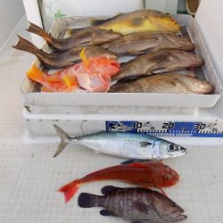 フィッシングボート空風(そらかぜ) 釣果