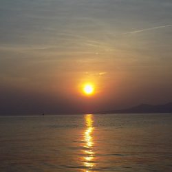 フィッシングボート空風(そらかぜ) 釣果