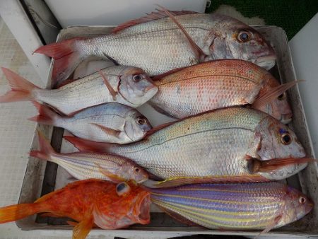 フィッシングボート空風(そらかぜ) 釣果