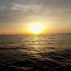 フィッシングボート空風（そらかぜ） 釣果