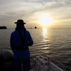 フィッシングボート空風(そらかぜ) 釣果