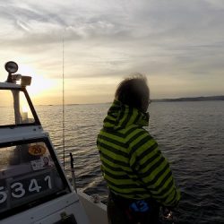 フィッシングボート空風(そらかぜ) 釣果