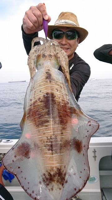 フィッシングボートACE(エース) 釣果