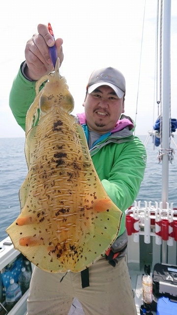 フィッシングボートACE(エース) 釣果